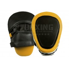 Kickboxing Focus Mitts